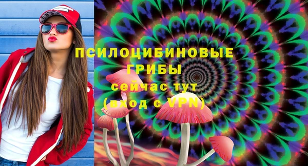прущая мука Алзамай