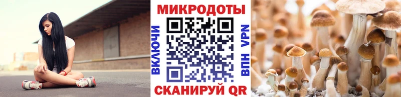 Галлюциногенные грибы прущие грибы  купить наркотик  Любань 